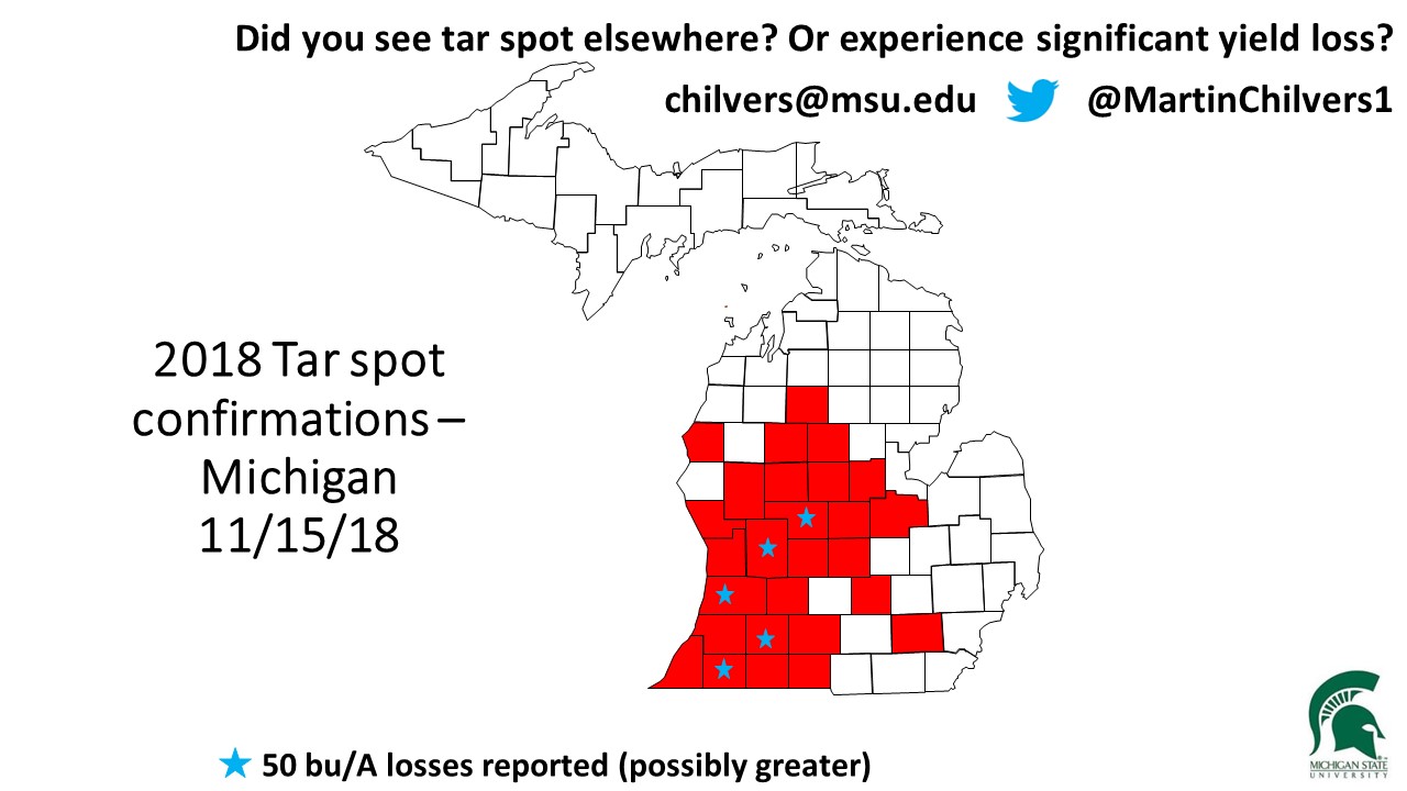 Tar spot distribution